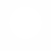 kidney