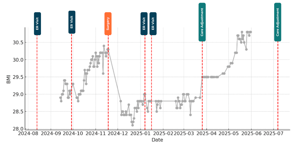 Figure 2.7 Monthly BMI average